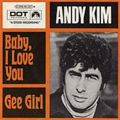 Andy Kim