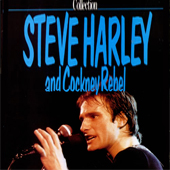 Steve Harley