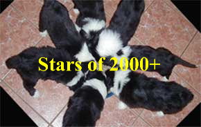 Pop music 2000+