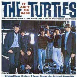 The Turtles